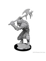 WizKids D&D Nolzur Gnolls