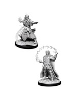WizKids D&D Nolzur Human Wizard  (He/Him/They/Them)(W11)