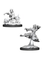 WizKids D&D Nolzur Human Monk (She/Her/They/Them)(W11)