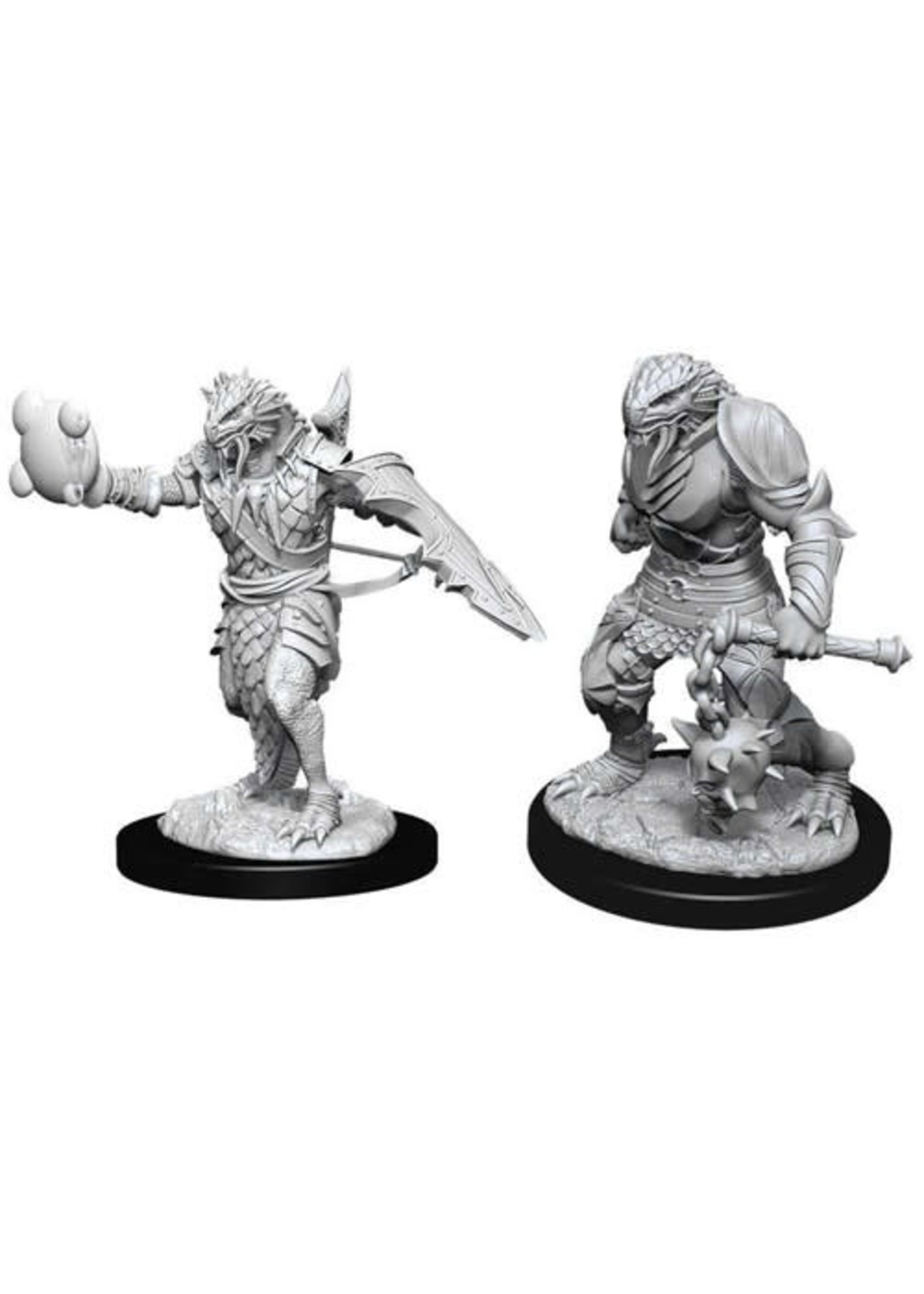 WizKids D&D Nolzur Dragonborn Paladin