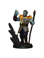 WizKids D&D Icons of the Realms Premium Figures: Male Firbolg Druid