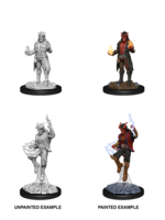 WizKids D&D Nolzur Tiefling Sorcerer (He/Him/They/Them) (W12)