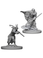 WizKids D&D Nolzur Elf Druid  (He/Him/They/Them)