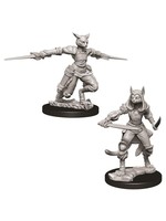 WizKids D&D Nolzur Tabaxi Rogue (She/Her/They/Them)