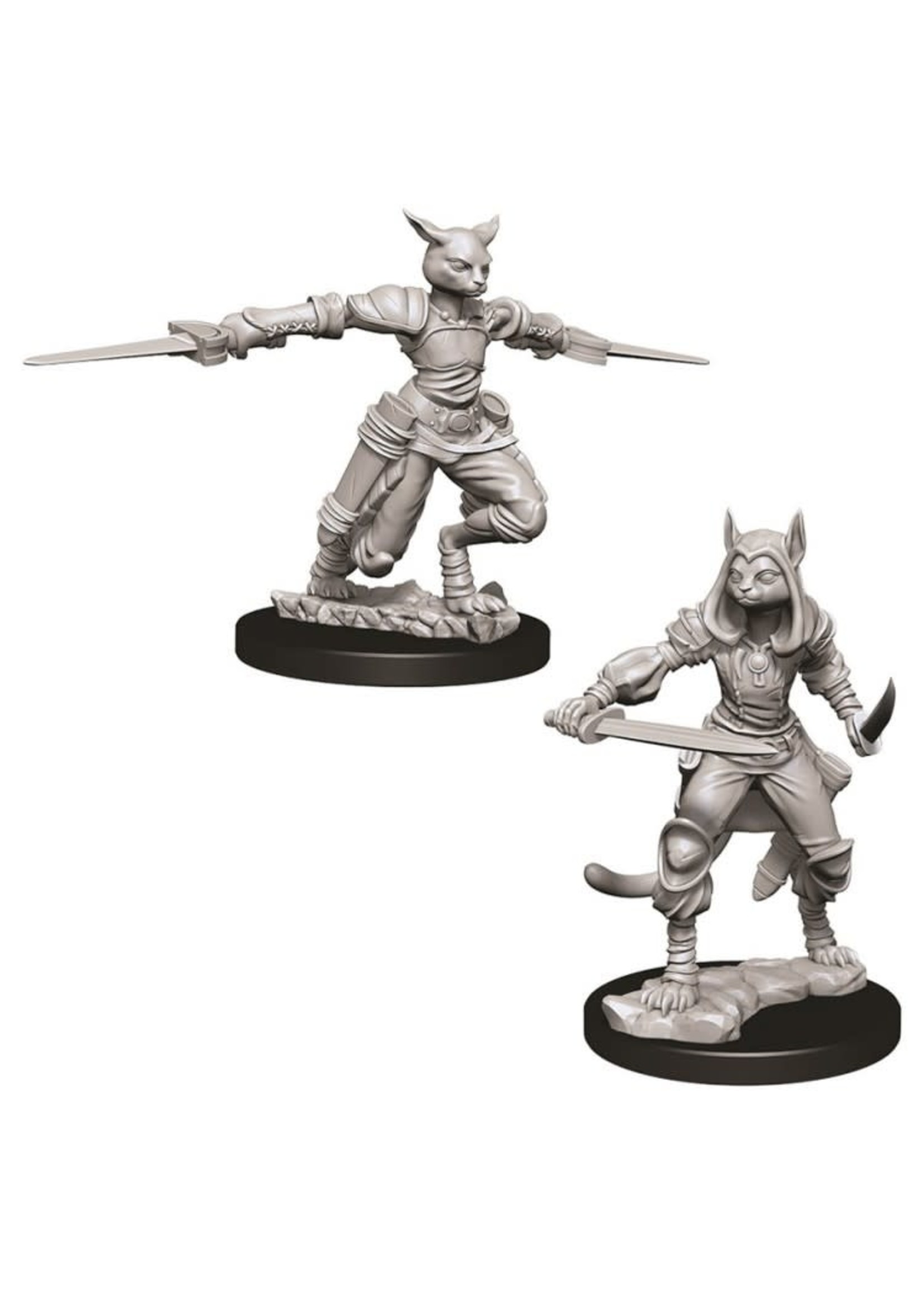 WizKids D&D Nolzur Tabaxi Rogue (She/Her/They/Them)