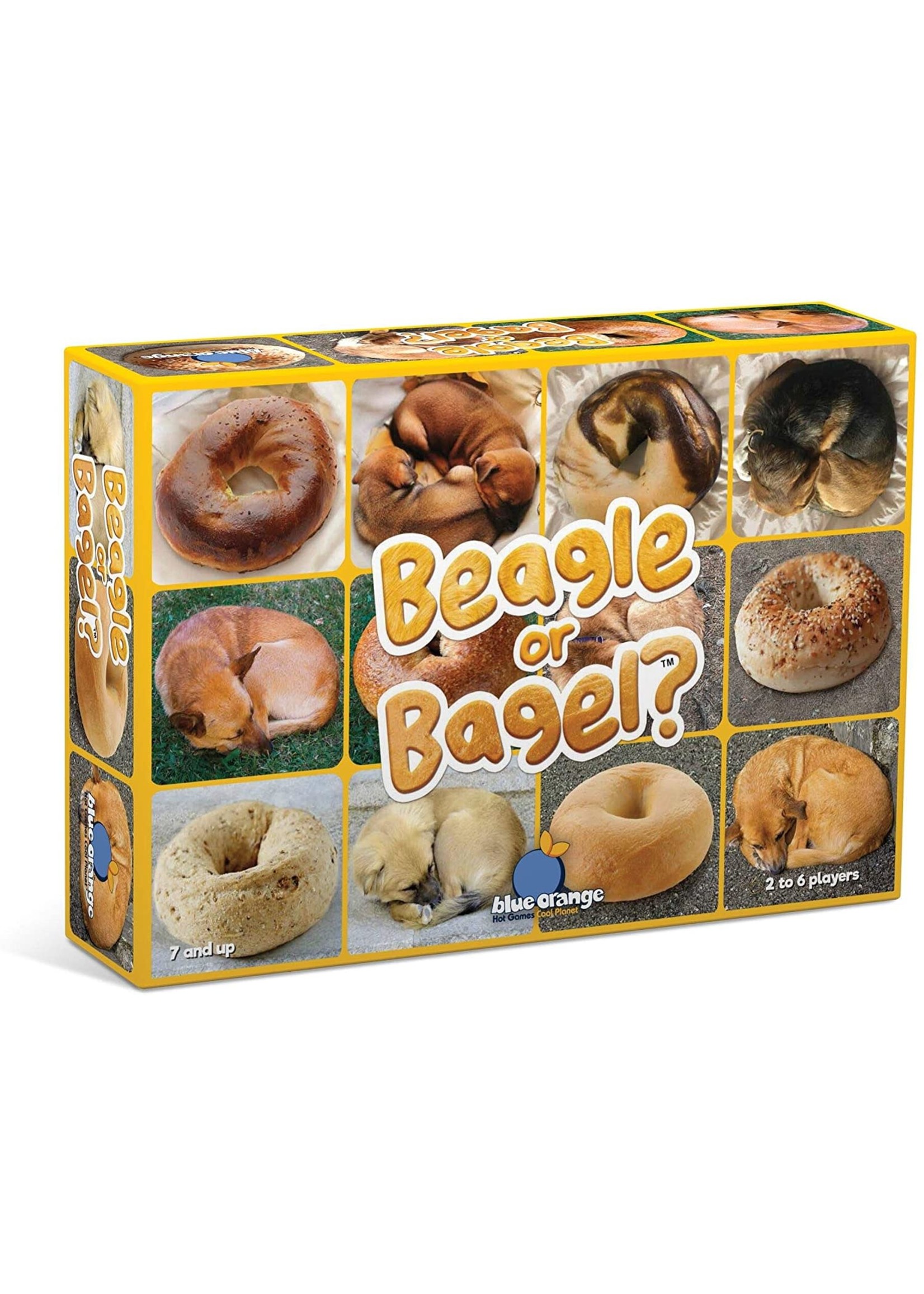 Rental RENTAL - Beagle or bagel? 7.1 oz