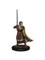WizKids D&D Icons of the Realms Premium Figures: Human Cleric