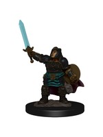 WizKids D&D Icons of the Realms Premium Figure: Dwarf Paladin