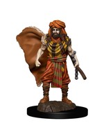 WizKids D&D Icons of the Realms Premium Figure: Human Druid