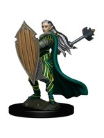WizKids D&D Icons of the Realms Premium Figure: Elf Paladin