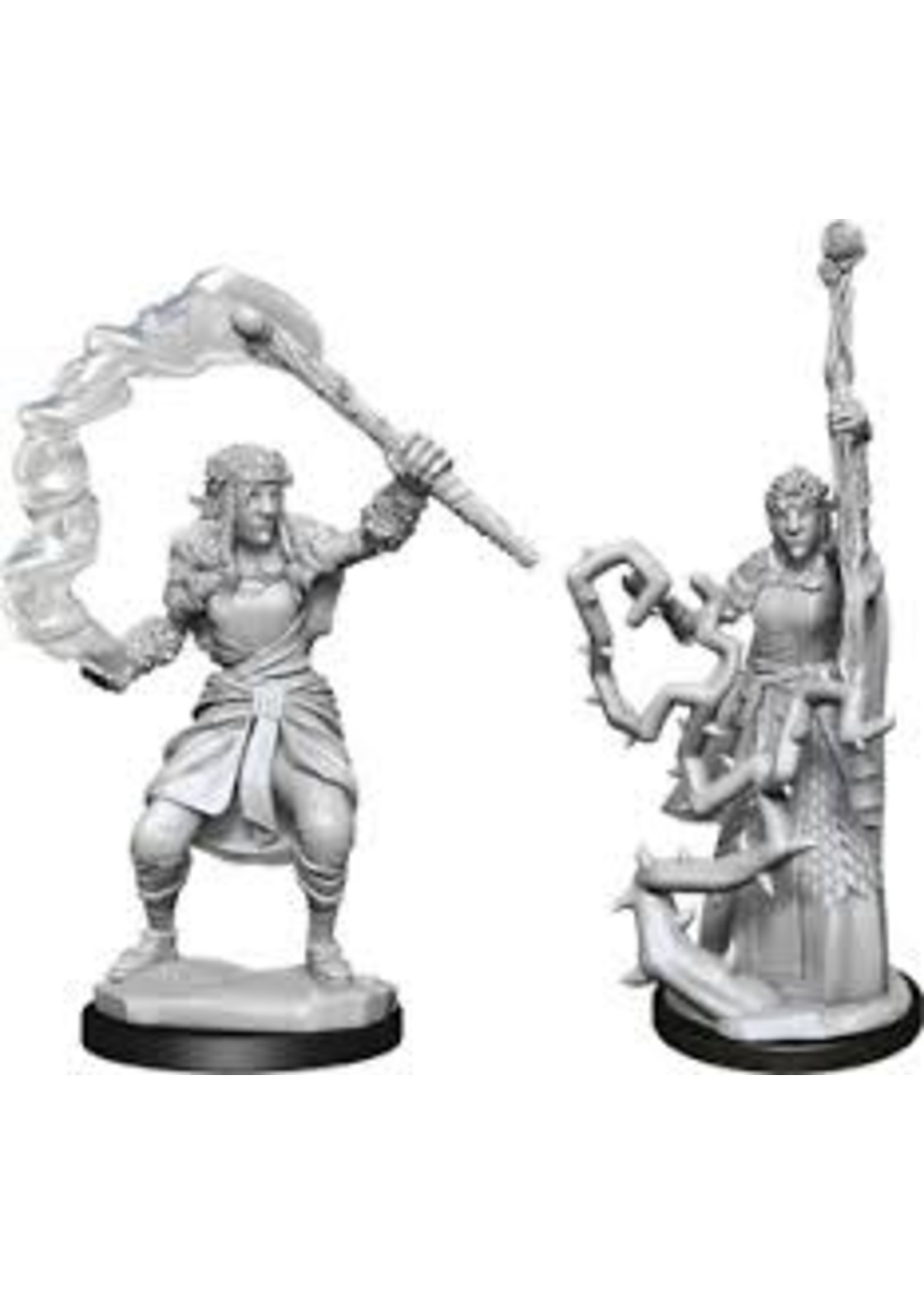 WizKids D&D Nolzur Firbolg Druid (She/Her/They/Them)