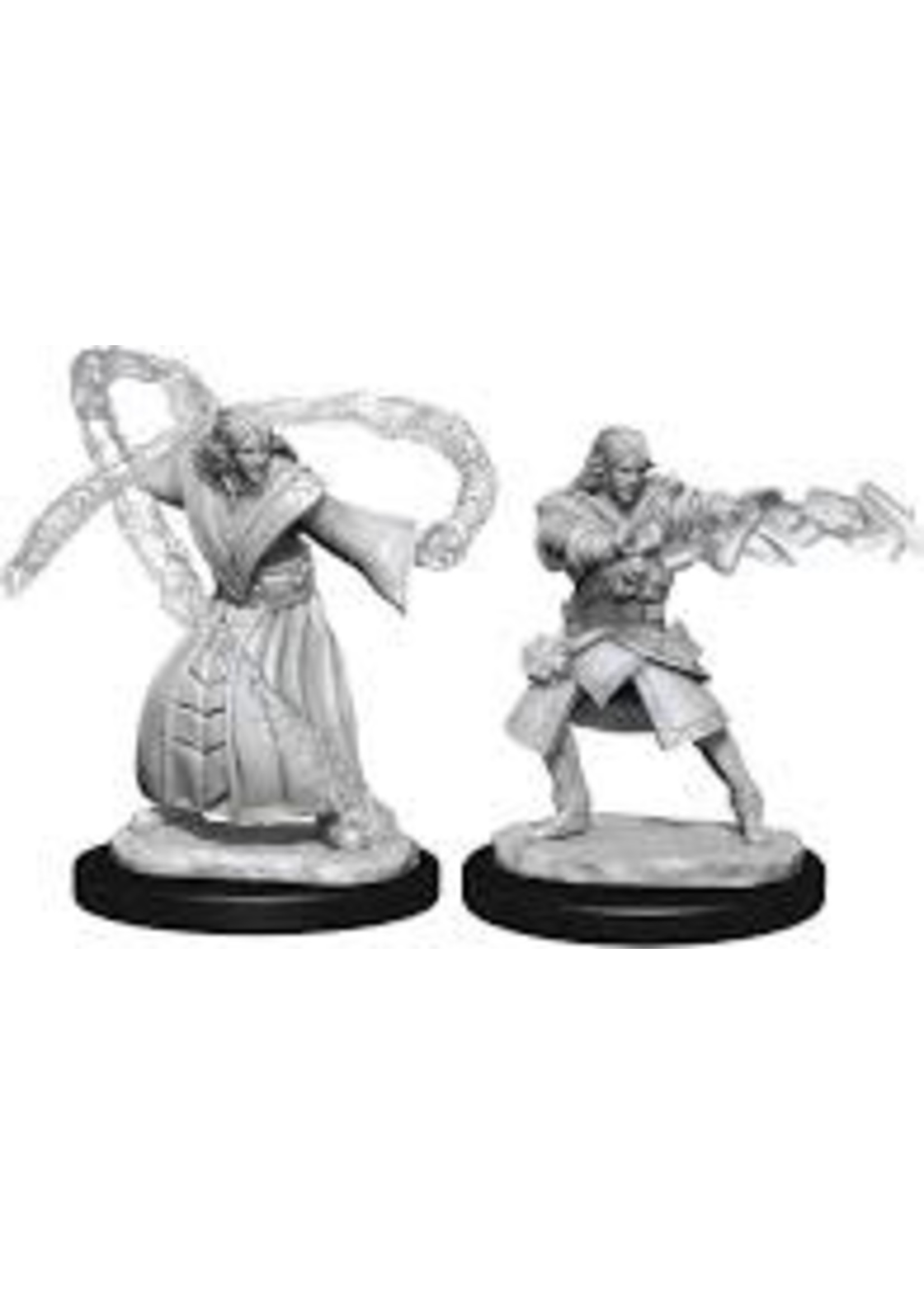 WizKids D&D Nolzur Elf Wizard (He/Him/They/Them)
