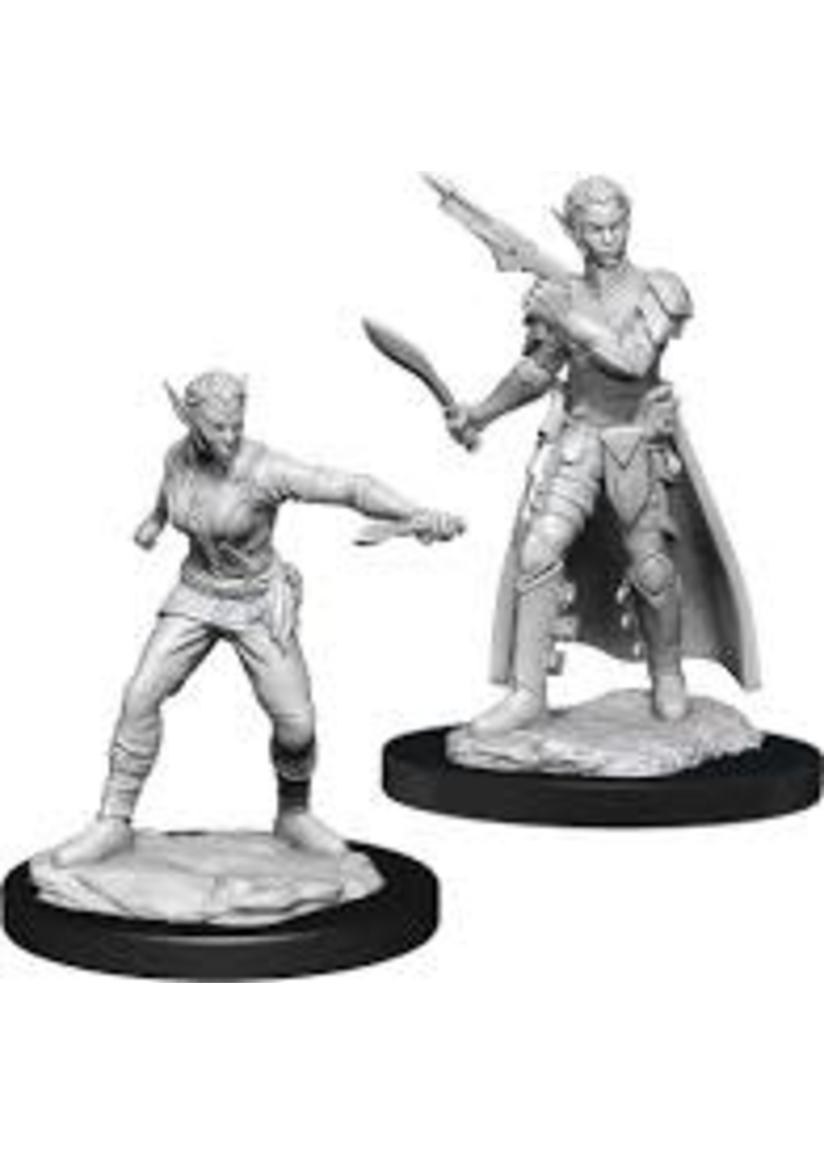 WizKids D&D Nolzur Shifter Rogue (She/Her/They/Them)