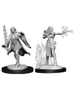WizKids D&D Nolzur Multiclass Warlock/Sorcerer (She/Her/They/Them)