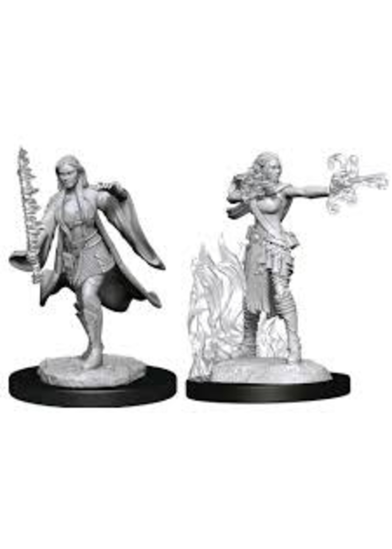 WizKids D&D Nolzur Multiclass Warlock/Sorcerer (She/Her/They/Them)