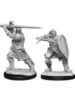 WizKids D&D Nolzur Human Paladin (He/Him/They/Them) W14