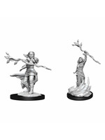 WizKids D&D Nolzur Human Druid (She/Her/They/Them) W14