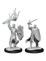 WizKids D&D Nolzur Half-Elf Paladin (He/Him/They/Them) W14