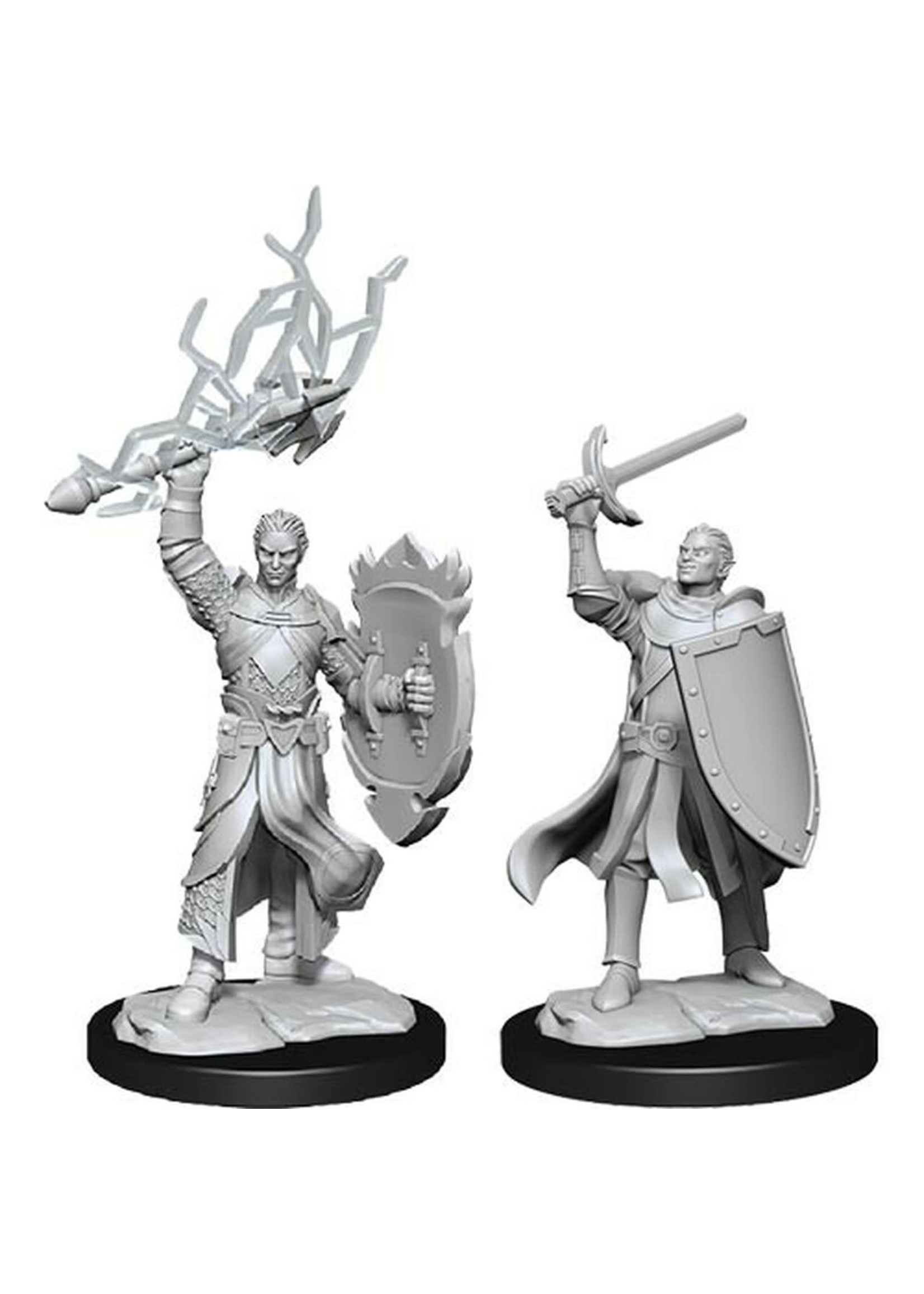 WizKids D&D Nolzur Half-Elf Paladin (He/Him/They/Them) W14