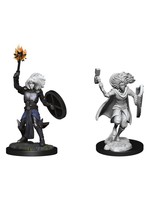 WizKids D&D Nolzur Changeling Cleric (He/Him/They/Them) W14