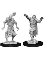 WizKids D&D Nolzur Scarecrow & Stone Cursed W14