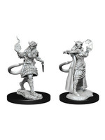 WizKids D&D Nolzur Tiefling Sorcerer Female (W15)