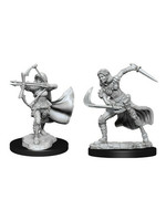 WizKids D&D Nolzur Air Genasi Female (W15)