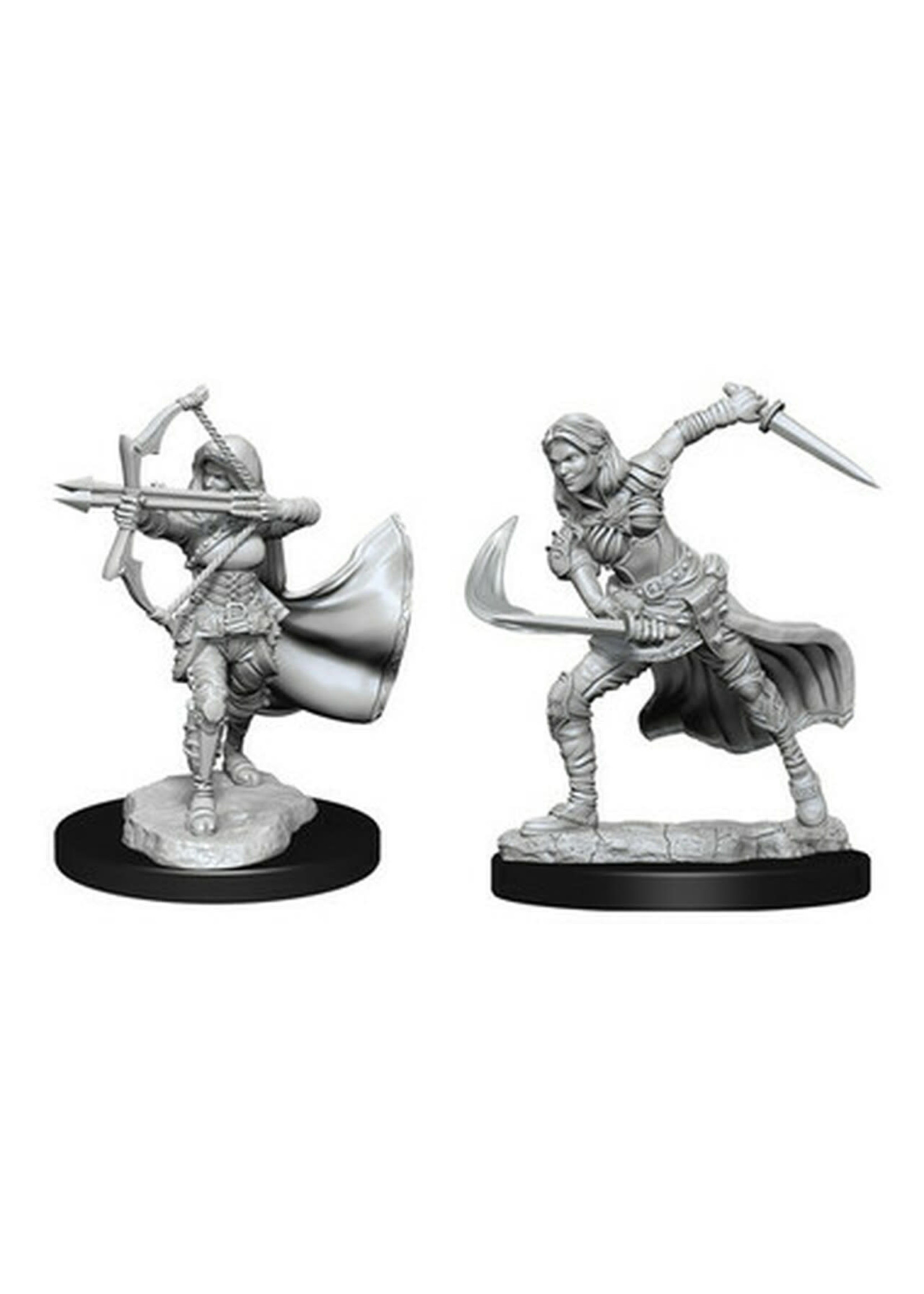 WizKids D&D Nolzur Air Genasi Female (W15)