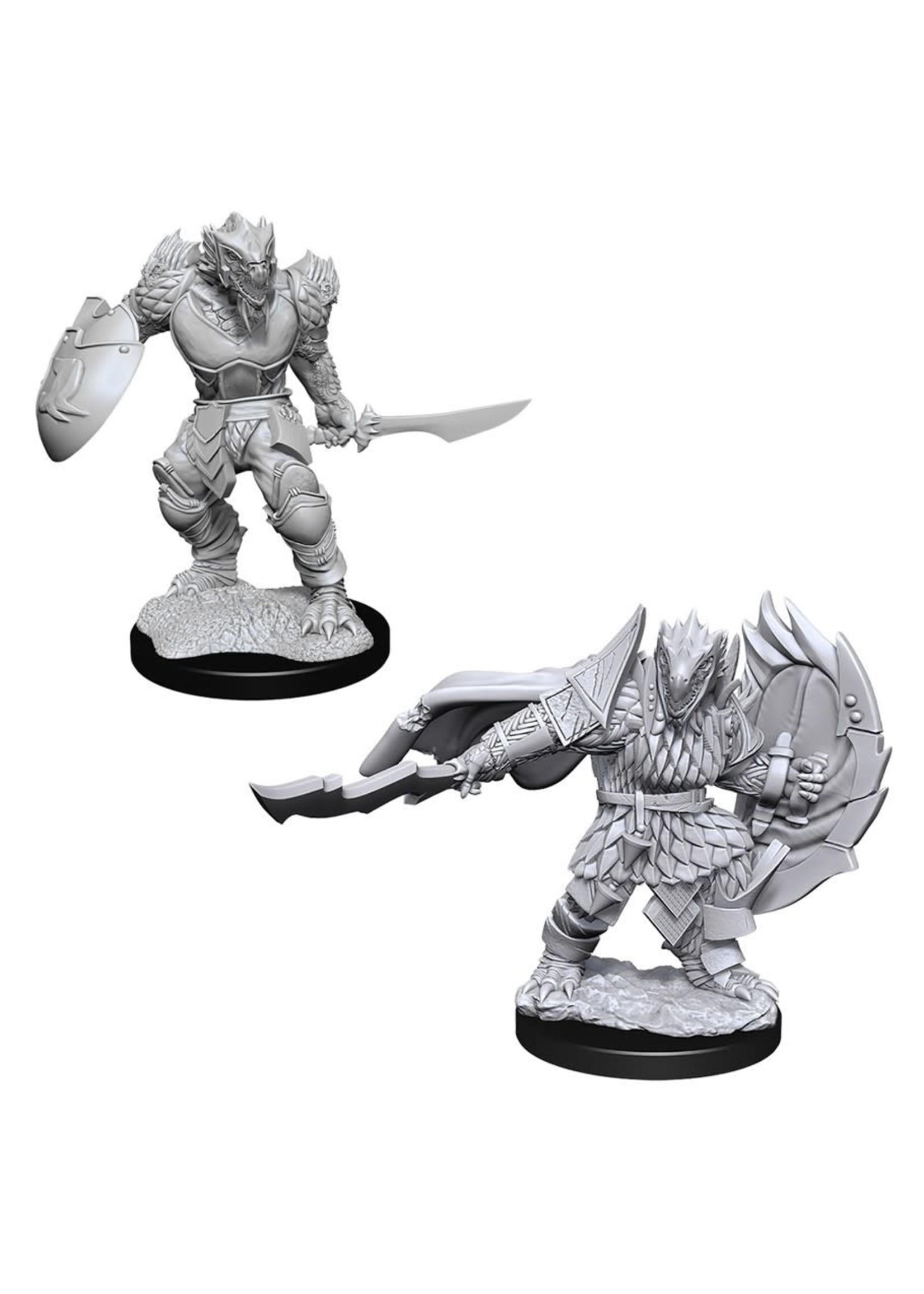 WizKids D&D Nolzur Dragonborn Fighter Male (W15)