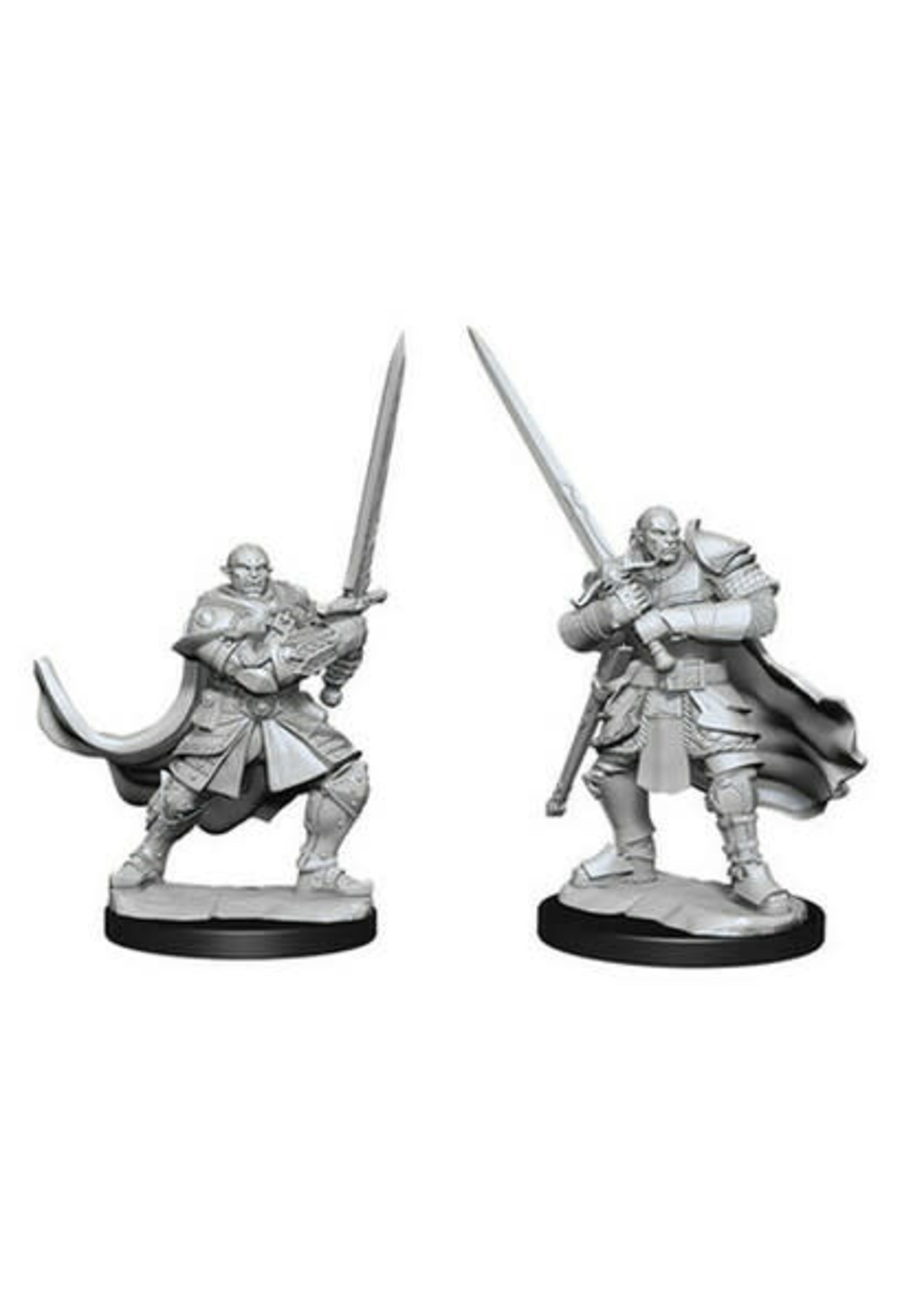 WizKids D&D Nolzur Half-Orc Paladin Male (W15)
