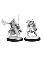 WizKids D&D Nolzur Winter Eladrin & Spring Eladrin (W15)