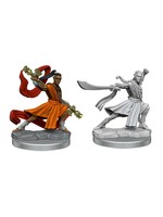 WizKids Dungeons & Dragons Frameworks: W01  Elf Monk Male