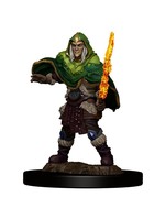 WizKids D&D Icons of the Realms: Premium Figures: Elf Male Fighter