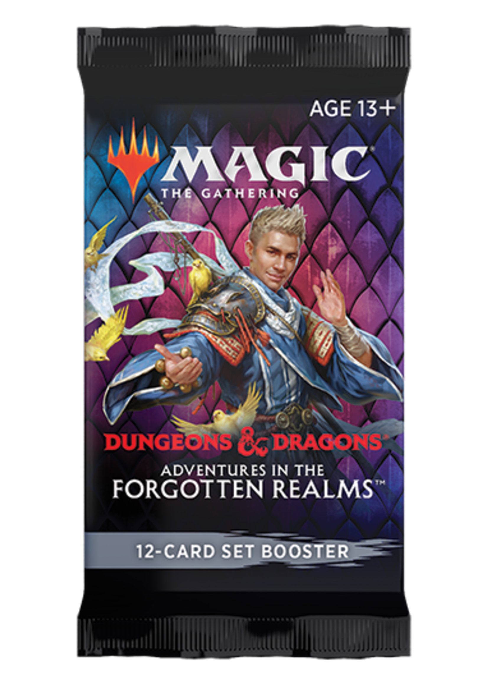 Wizards of the Coast Adventures in the Forgotten Realms Set Booster Pack