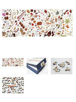 Artifact Artifact Puzzles: Rachel Pedder-Smith Herbarium