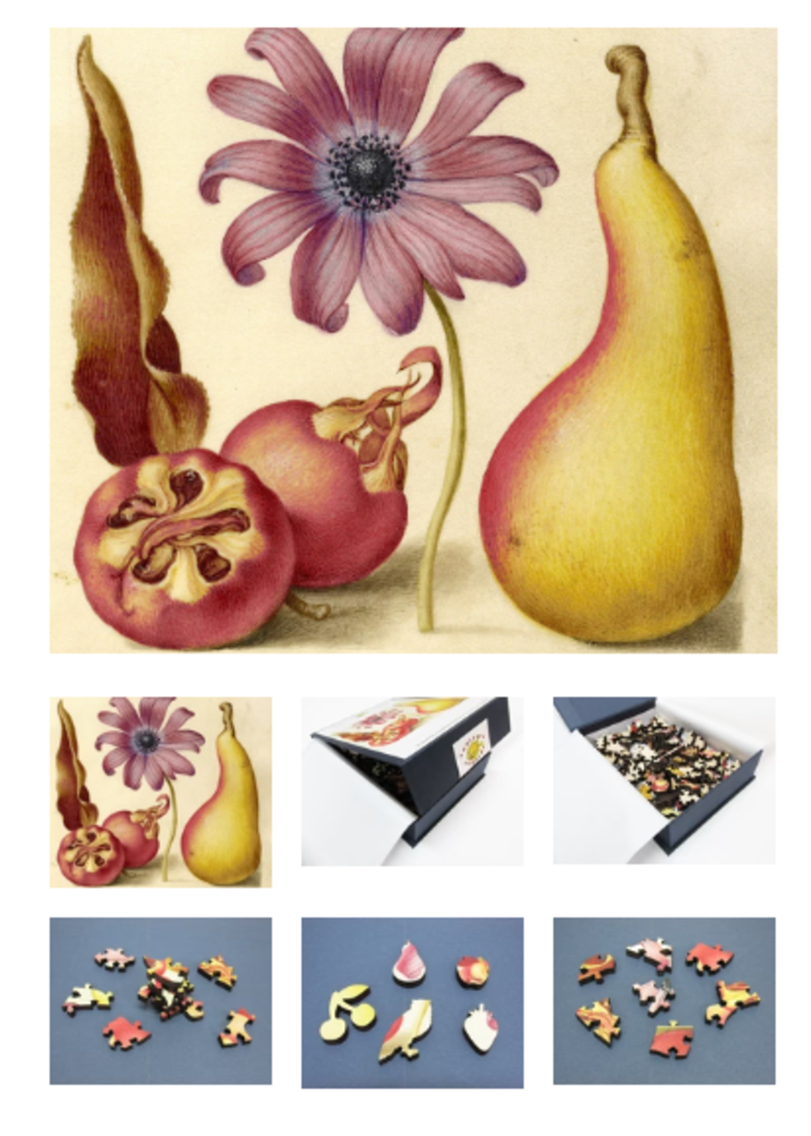 Artifact Artifact Puzzle: Hoefnagel Pear