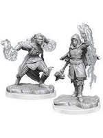 WizKids D&D Nolzur Half-Elf Warlock (W20)