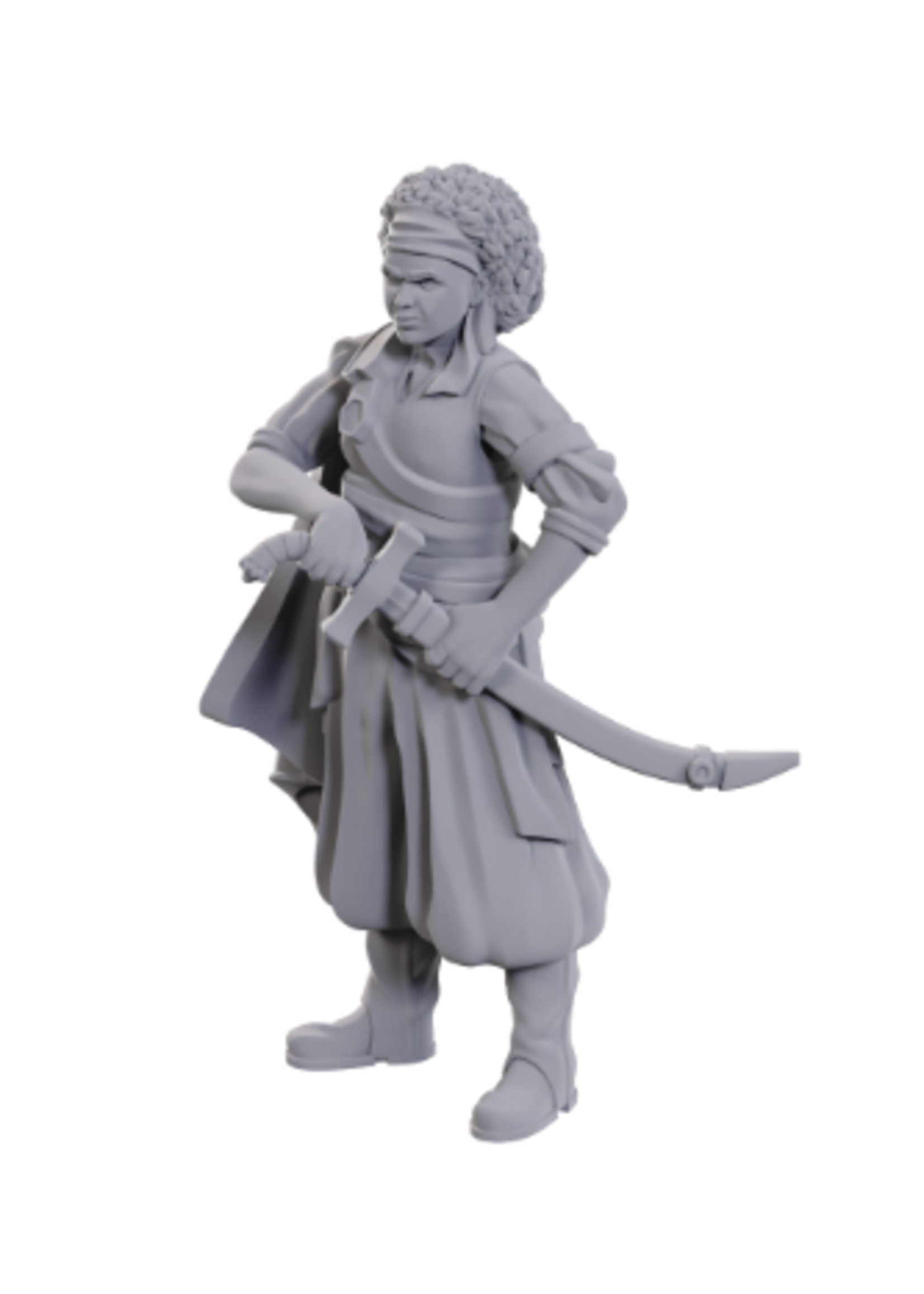 WizKids D&D Nolzur W23 Ansalon Human Rogue