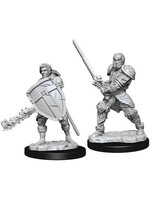 WizKids D&D Nolzur Human Fighter  (He/Him/They/Them)