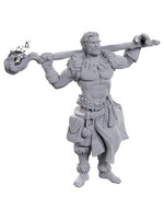 WizKids D&D Nolzur Archdruid & Martial Arts Adept (W24)