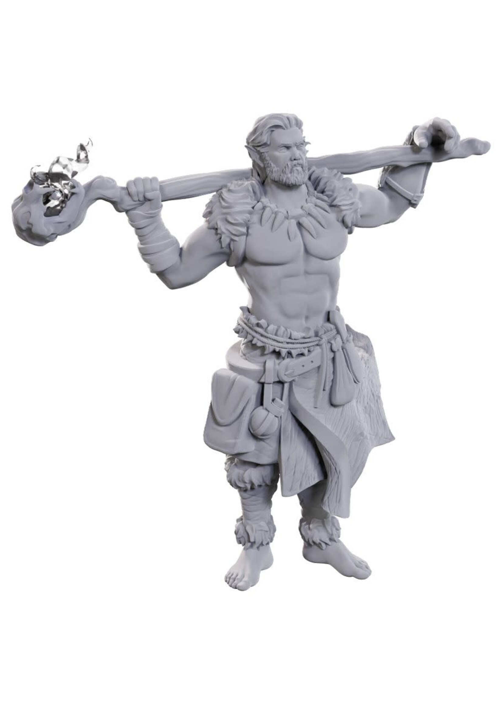 WizKids D&D Nolzur Archdruid & Martial Arts Adept (W24)
