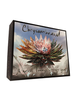 Chrysanthemum Productions Chrysanthemum