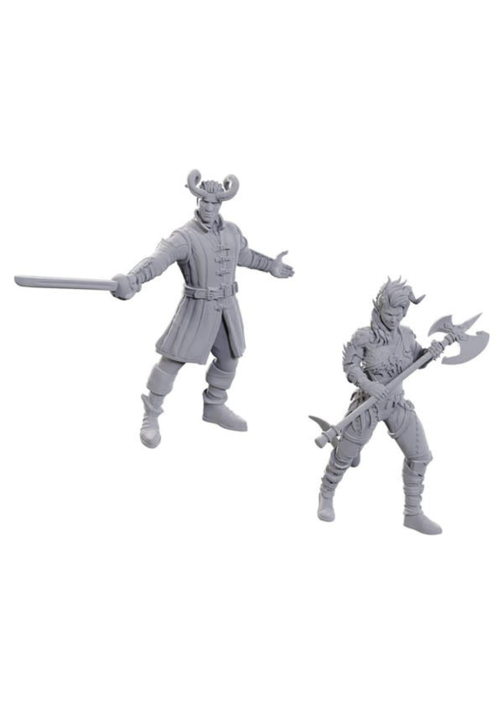 WizKids D&D Nolzur - Special Edition Baldur's Gate 3: Wyll & Karlach