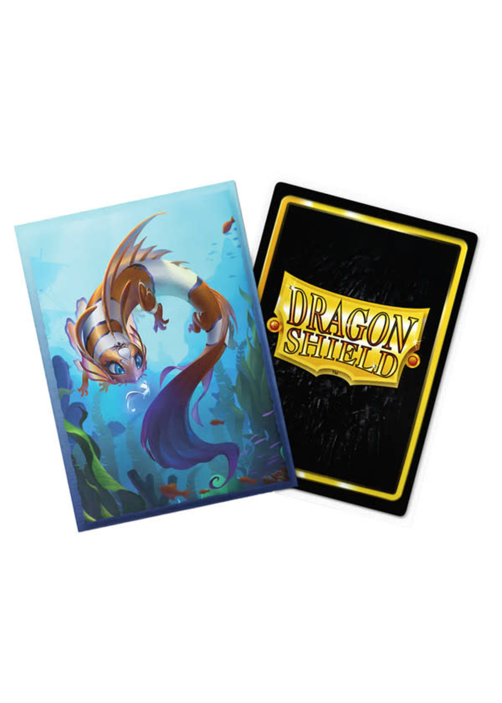 Arcane Tinmen Dragon Shield Art Brushed: Cinderfin (100)