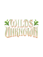 Ravensburger Lorcana Wilds Unknown Prerelease May 8