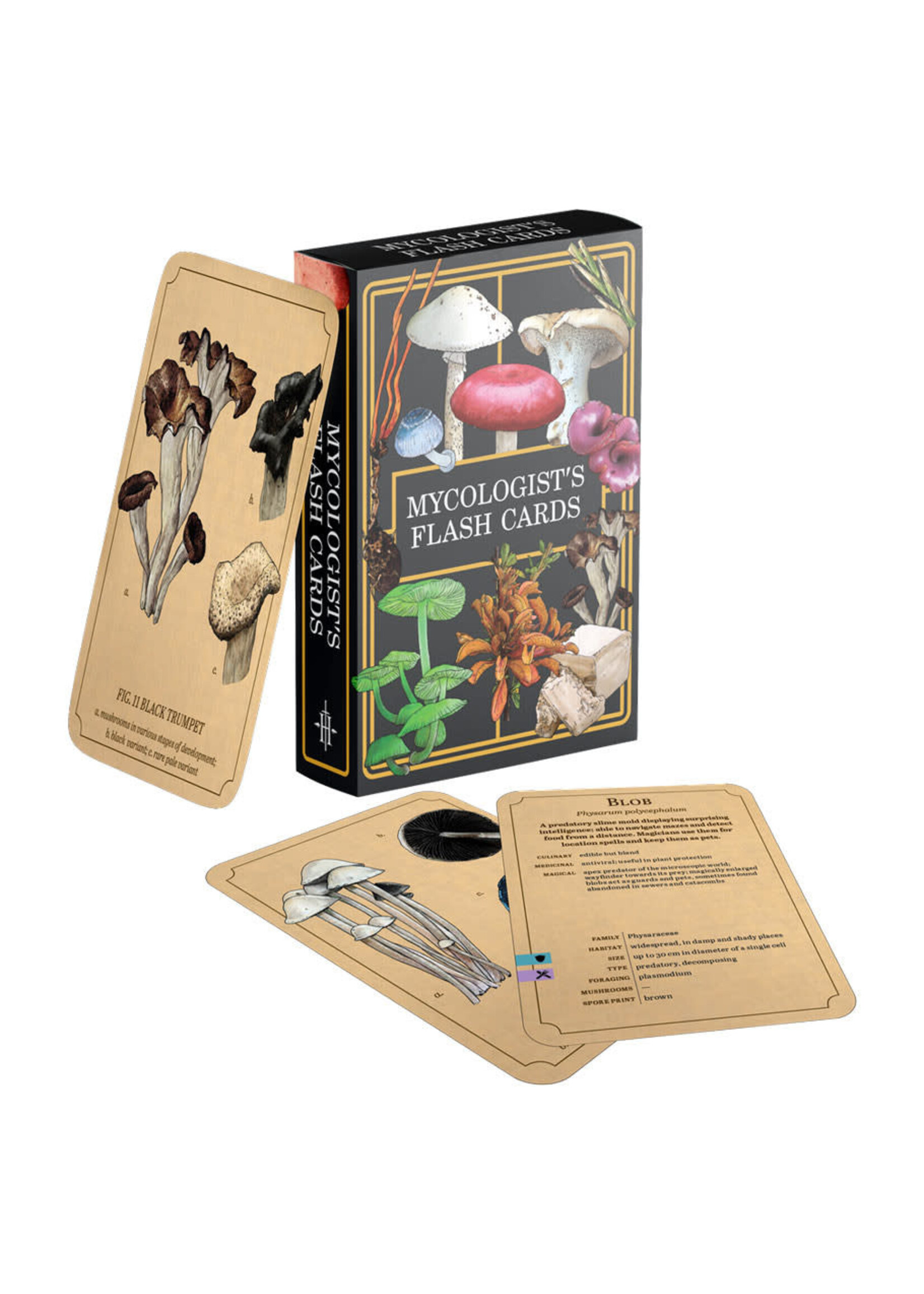 Renegade Game Studios Mycologist's Primer: Flash Cards