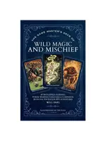Media Lab Game Master's Deck of Wild Magic and Mischief