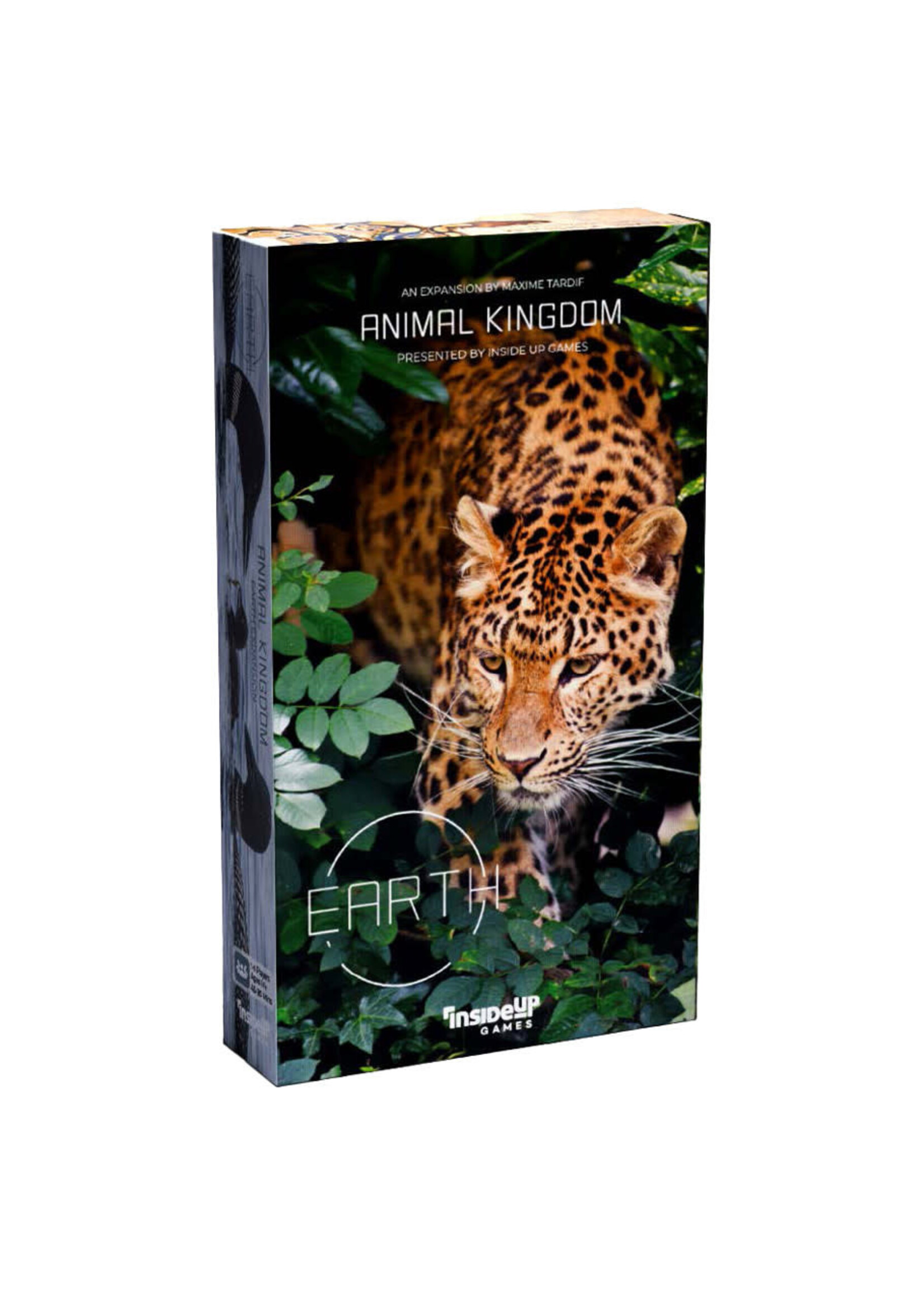 Inside Up Games Earth: Animal Kingdom