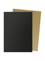 Arcane Tinmen Dragon Shield Dual Matte Black & Gold (100)