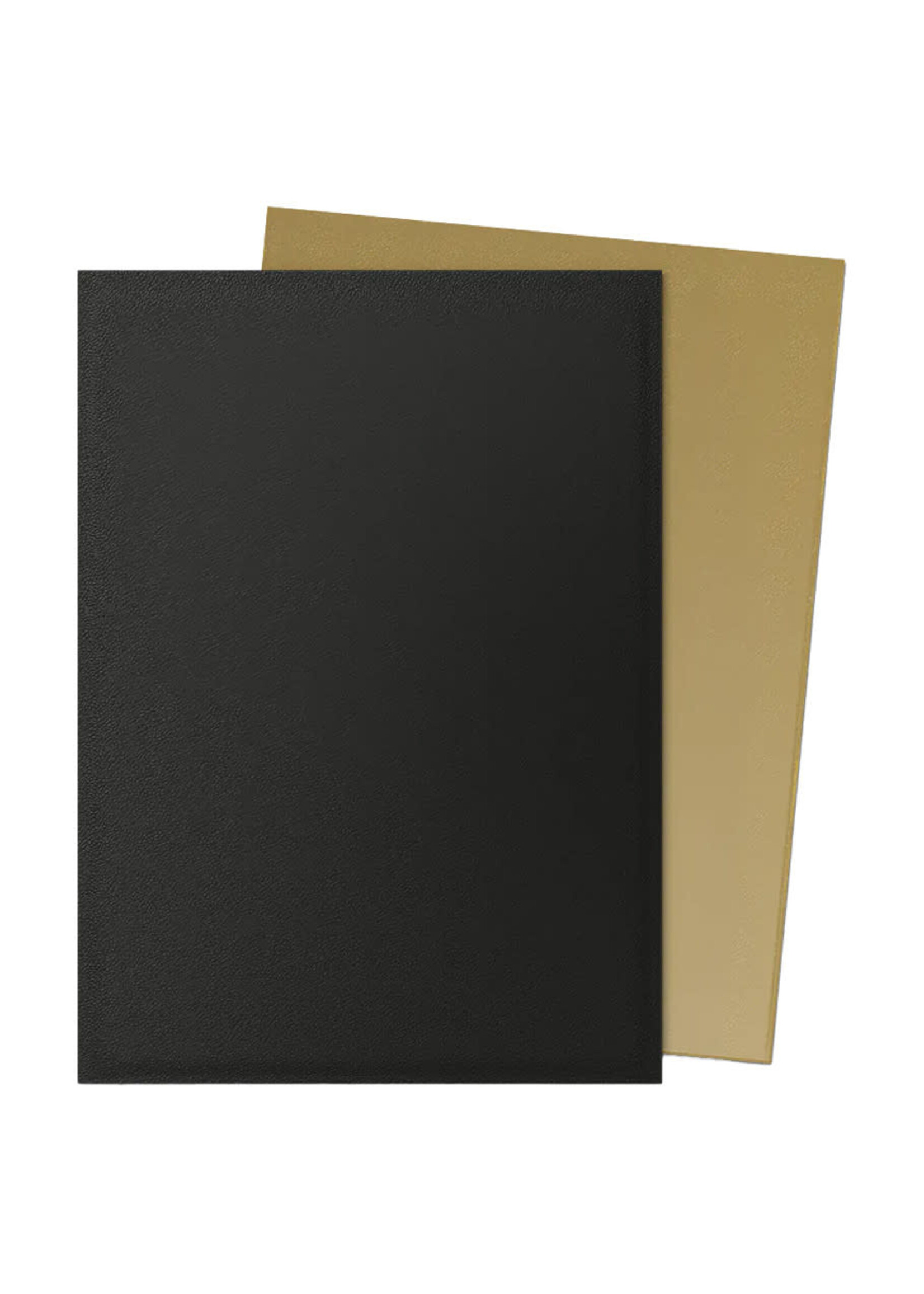 Arcane Tinmen Dragon Shield Dual Matte Black & Gold (100)